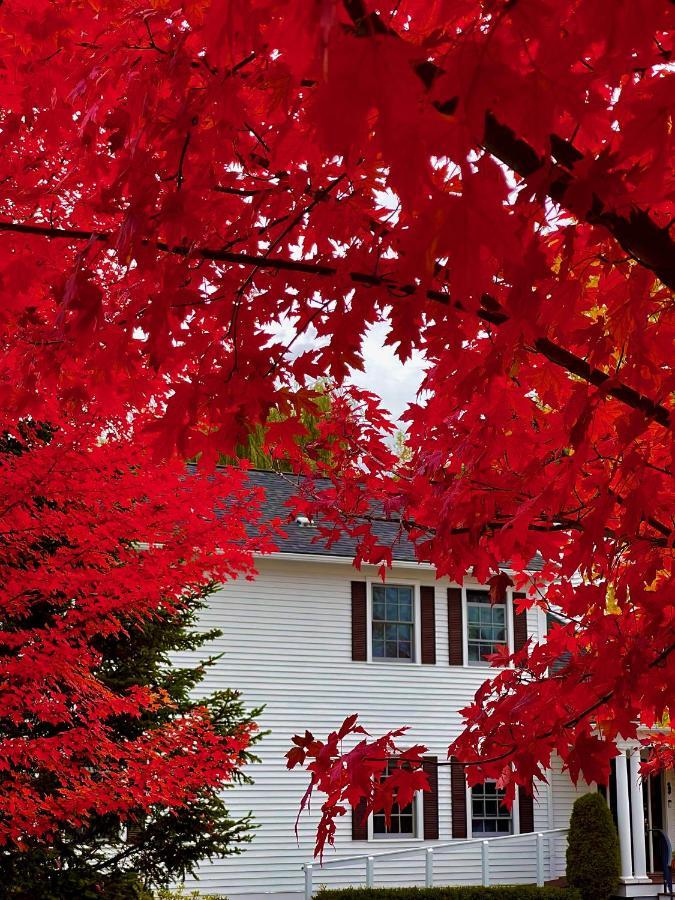 Gasthof Williston Village Burlington