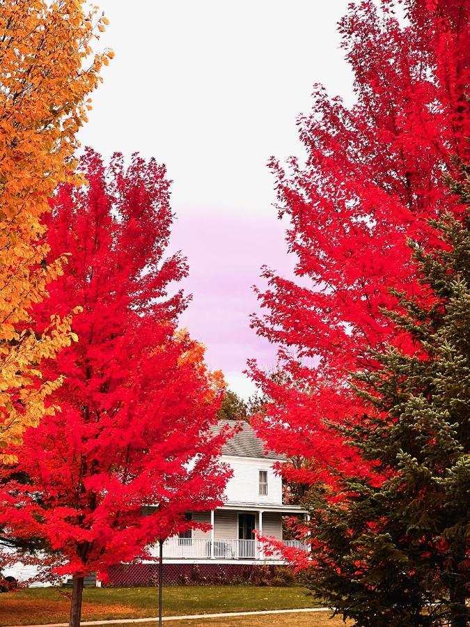 Williston Village Burlington