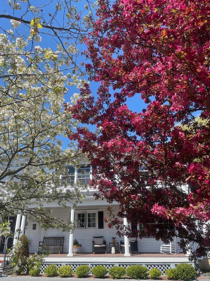 Inn Williston Village 3*