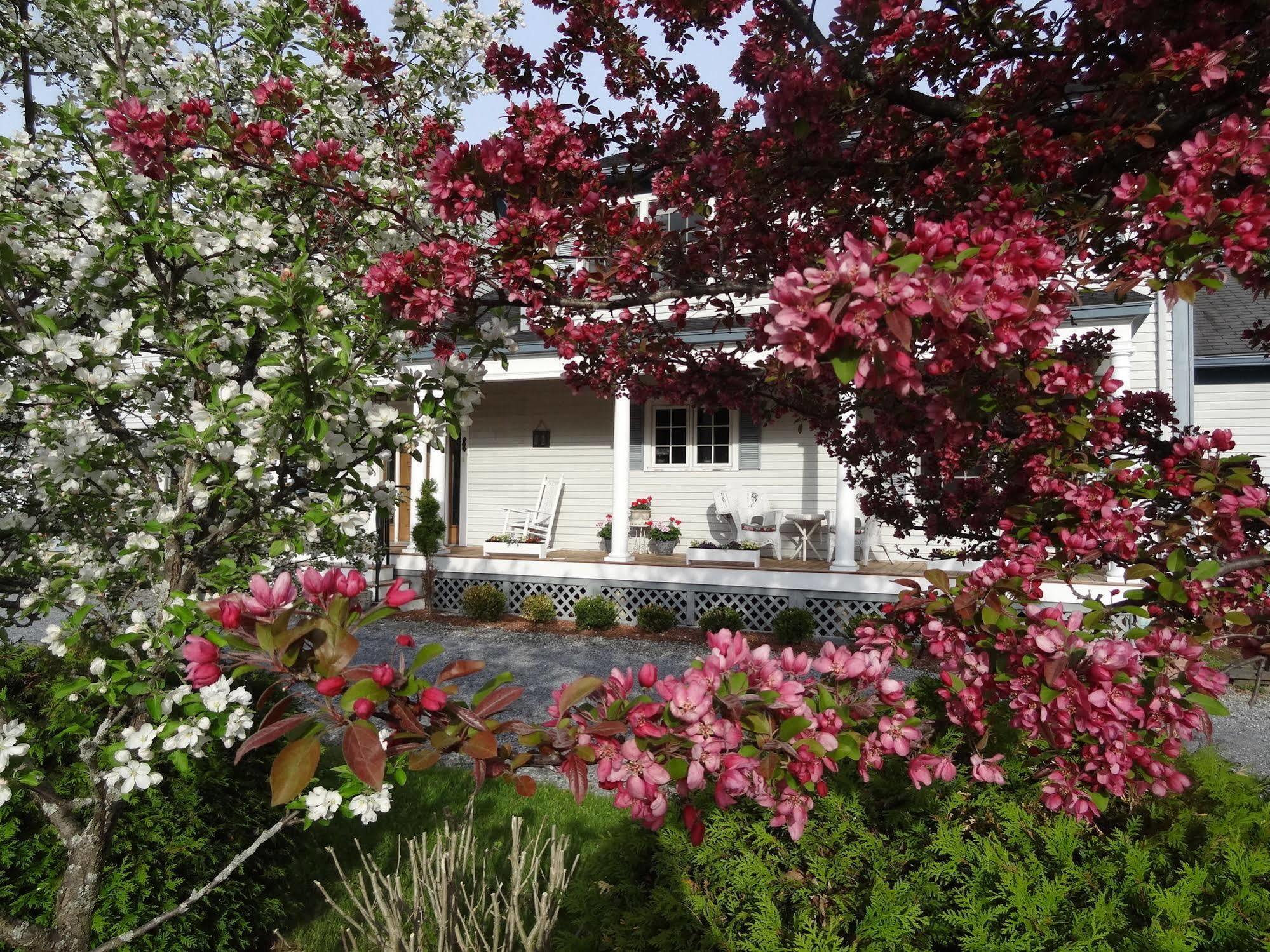 Williston Village